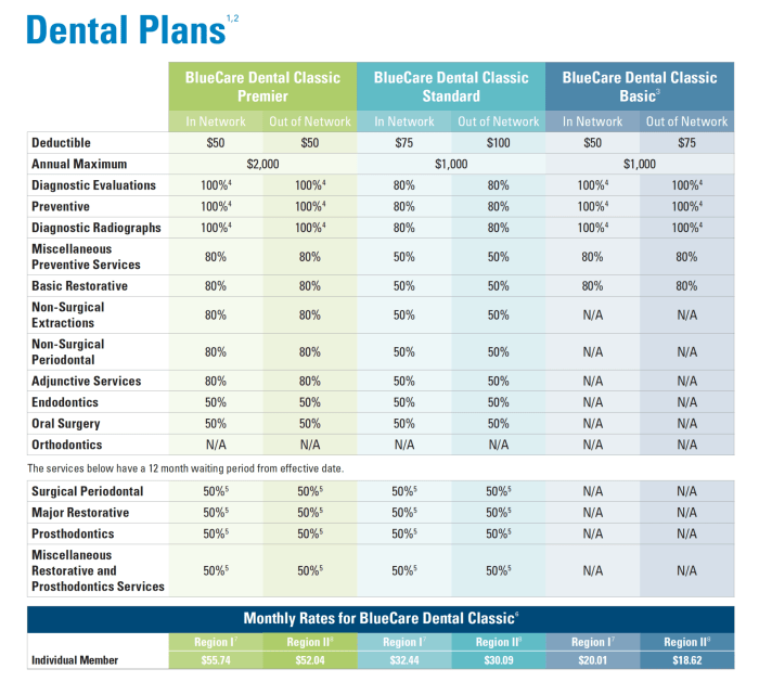 BlueCare Dental Classic℠ for Individuals and BlueCare Vision | Insure ...